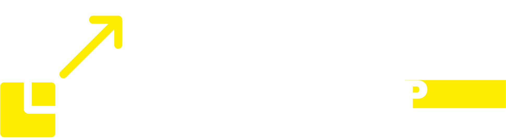 krusapinfotech.com